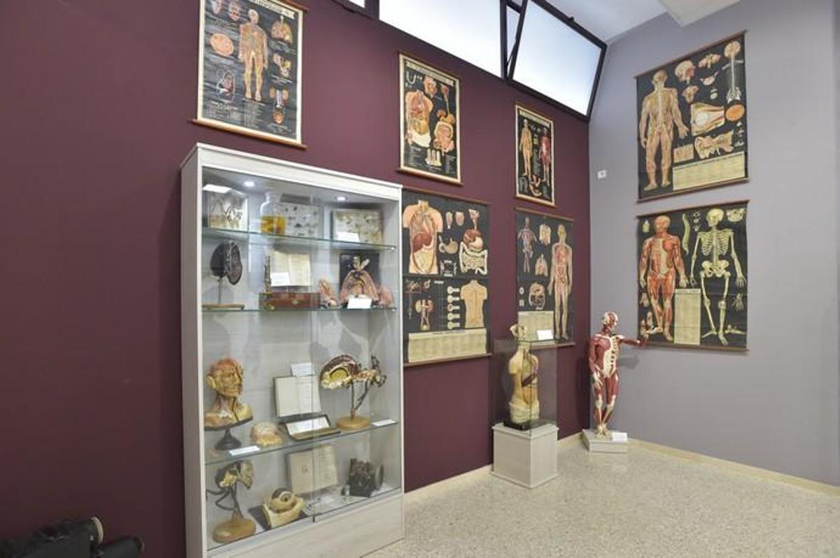 Inauguración del Aula Museo del IES Pérez Galdós