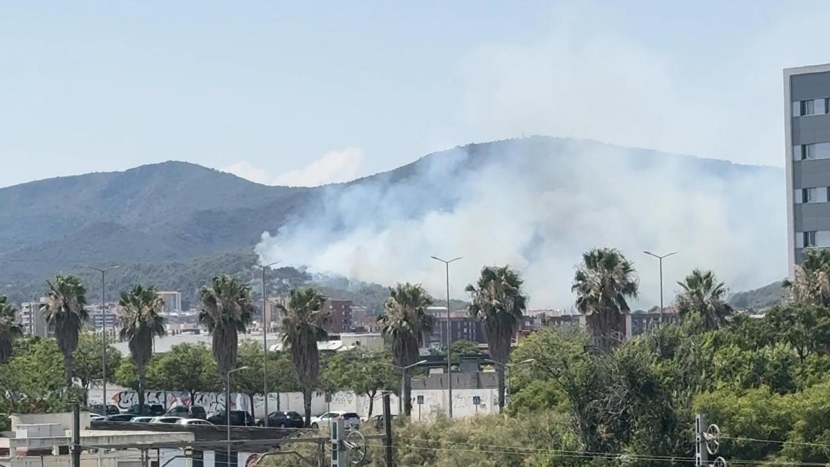 L'incendi forestal a Gavà.