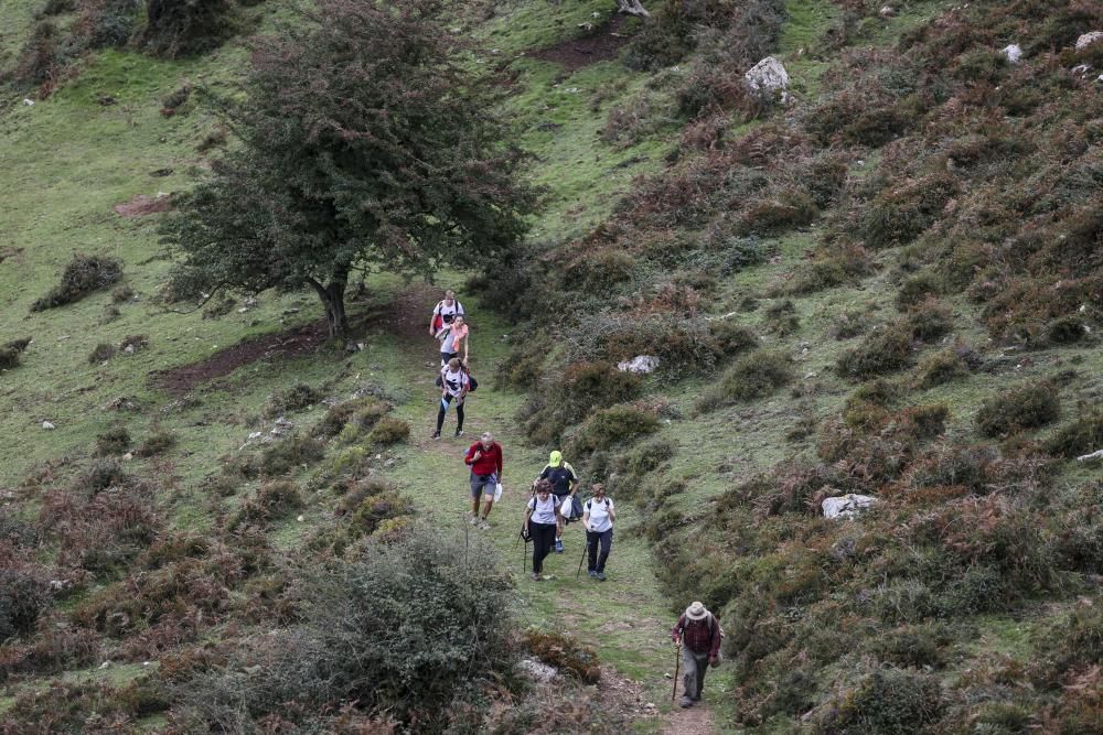 Ruta de las Santas Reliquias, entre Oviedo y el Monsacro