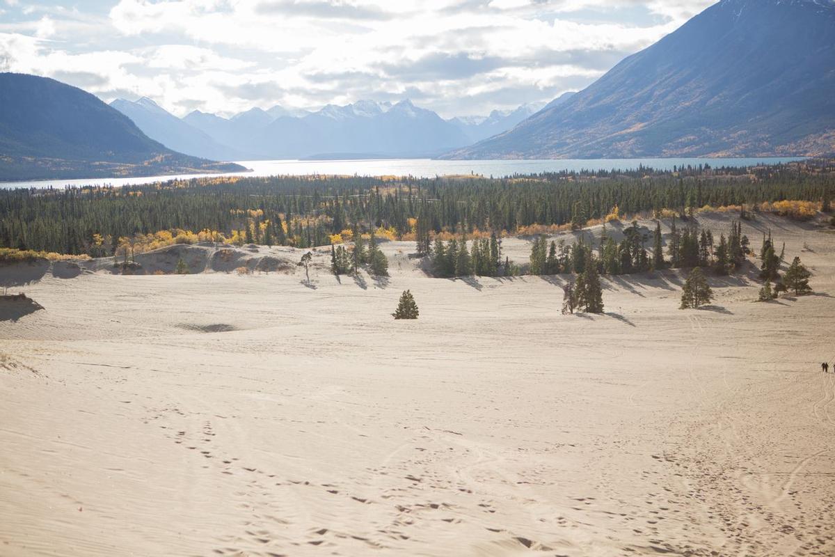 Carcross