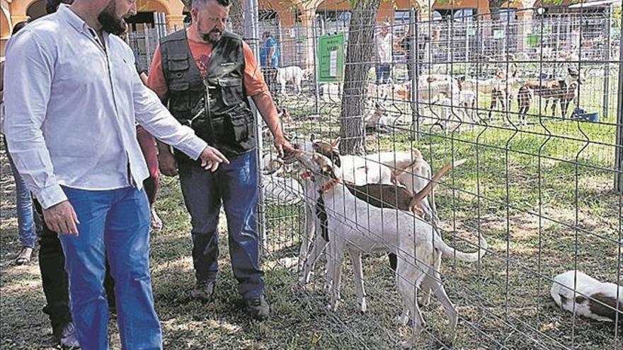 Sant Jordi atrae al mundo de la caza con su feria