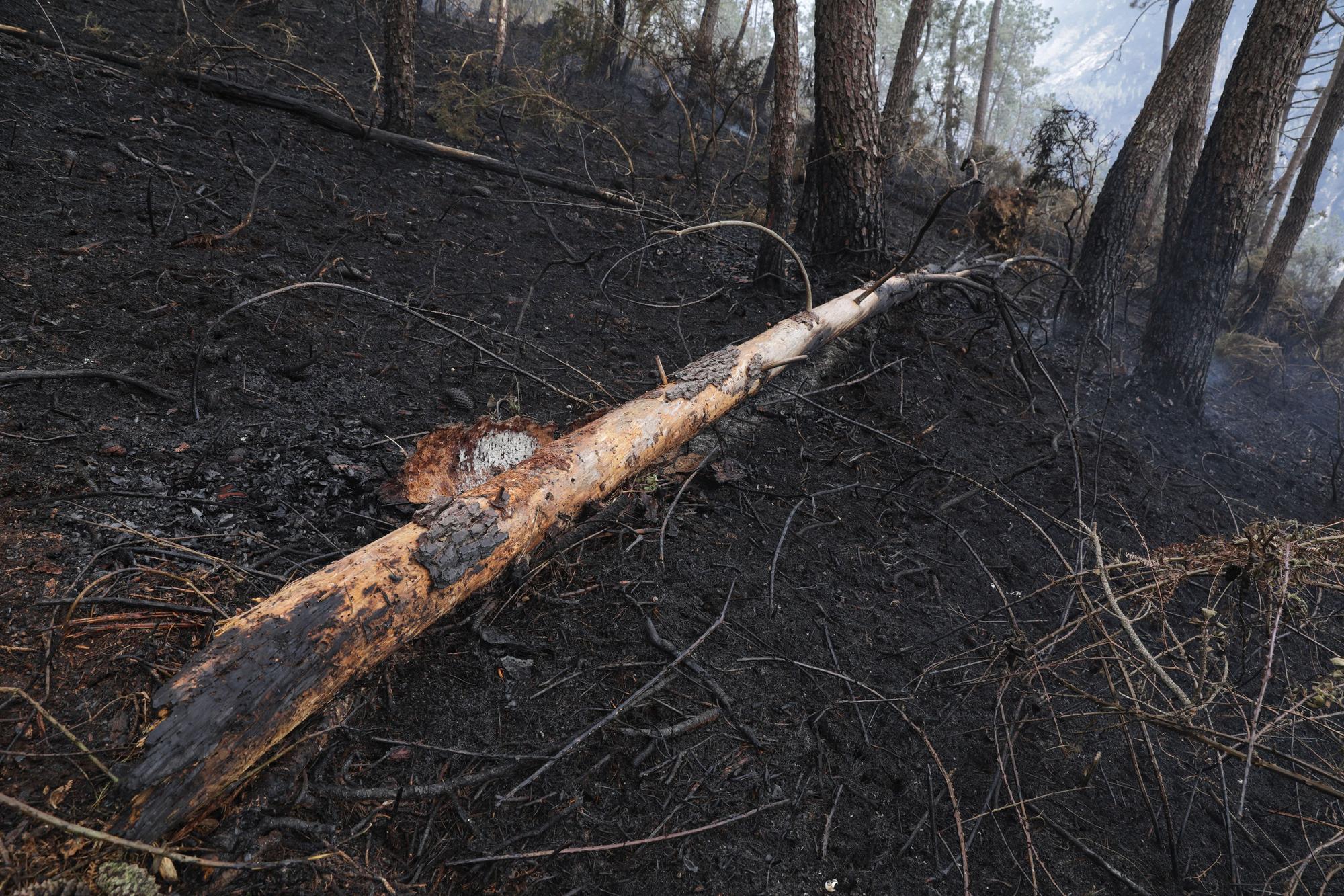 Trabajos de extinción de incendios en Valdés