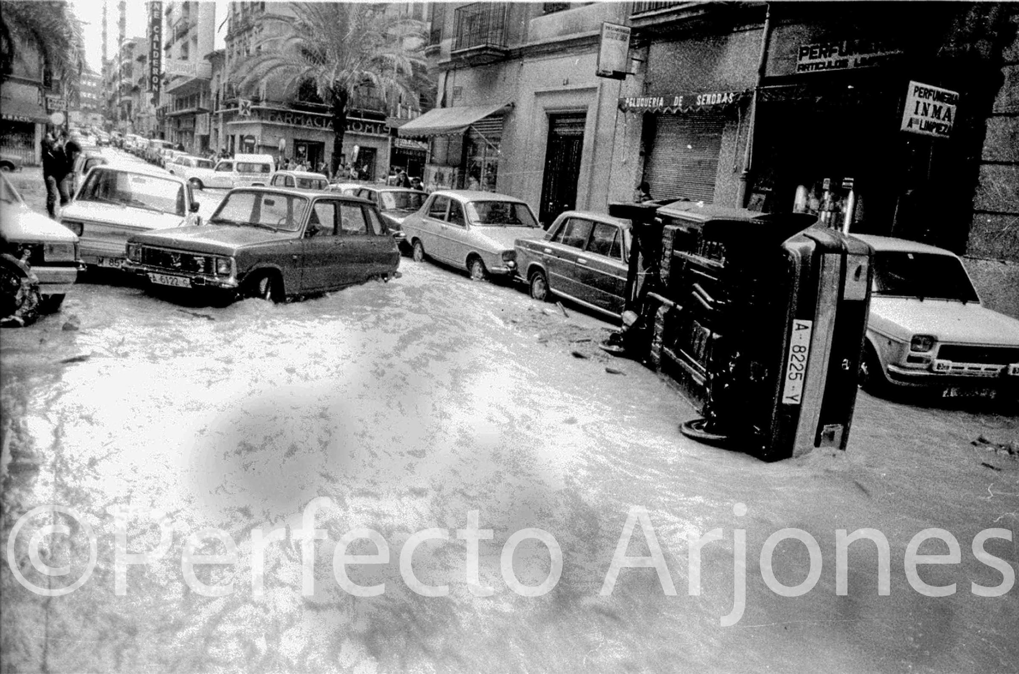 Riada de 1982: El día que Alicante se partió en dos
