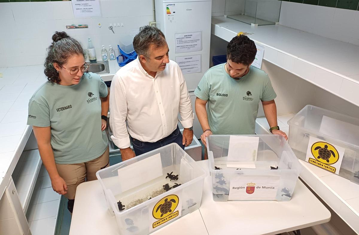 Los ejemplares custodiados en el Centro de Recuperación de Fauna Silvestre de El Valle, en Murcia.
