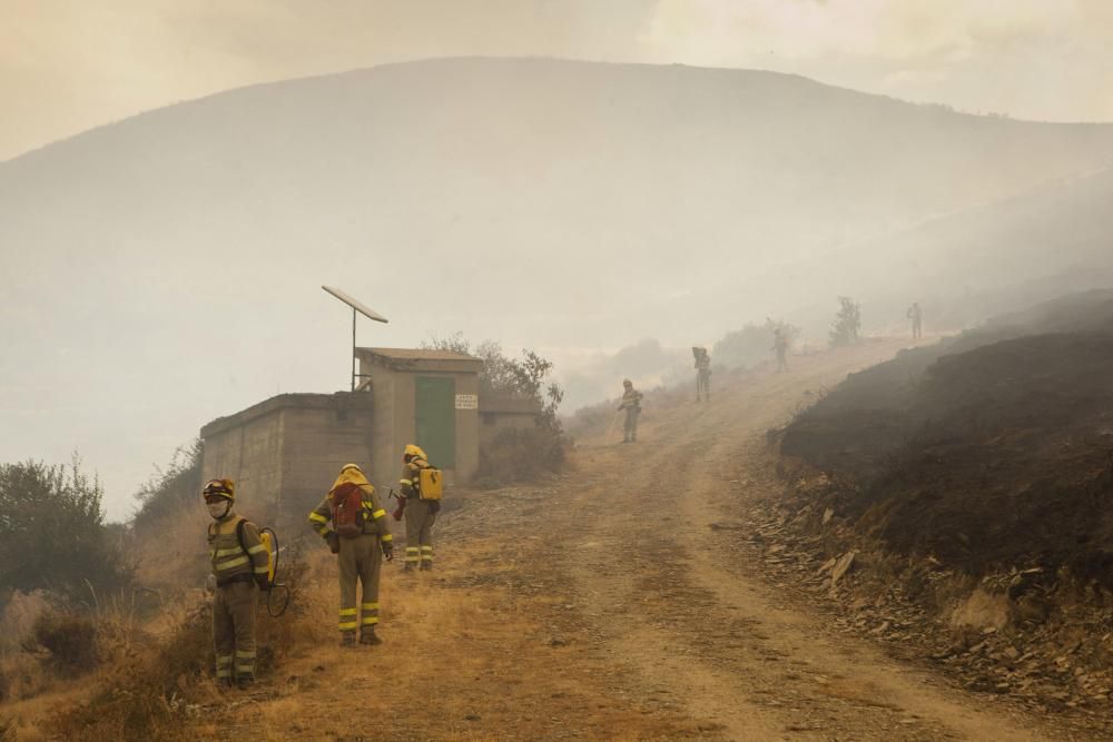 Incendio en los montes de León