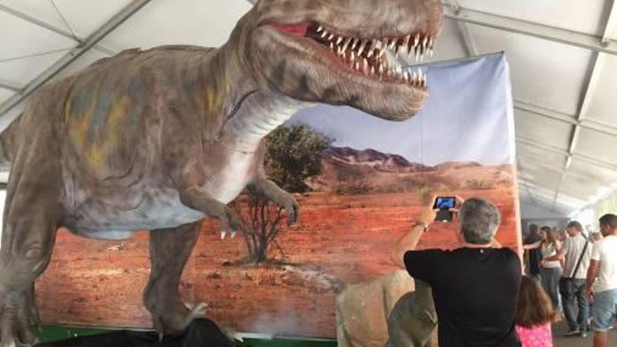 La mayor exposición de dinosaurios en Europa llega a Gandia