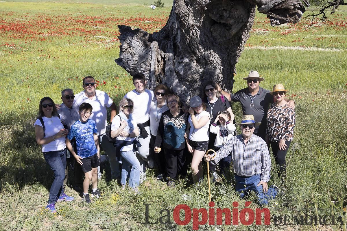 Romería de San Isidro en los Poyos de Celda de Caravaca
