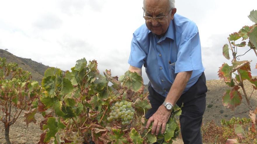 Un viticultor de Colmenar muestra la enorme calidad de sus uvas.