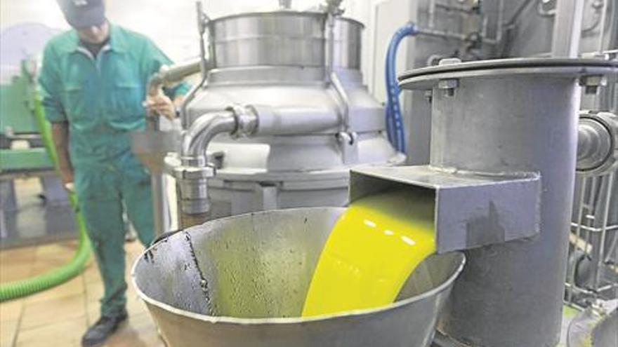 El precio del aceite de oliva se mantiene elevado al obtenerse menos del previsto