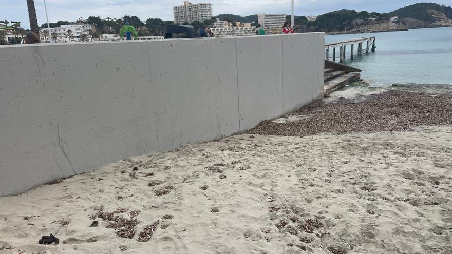 Calvià declara la guerra a los grafitis en las playas y zonas de afluencia turística