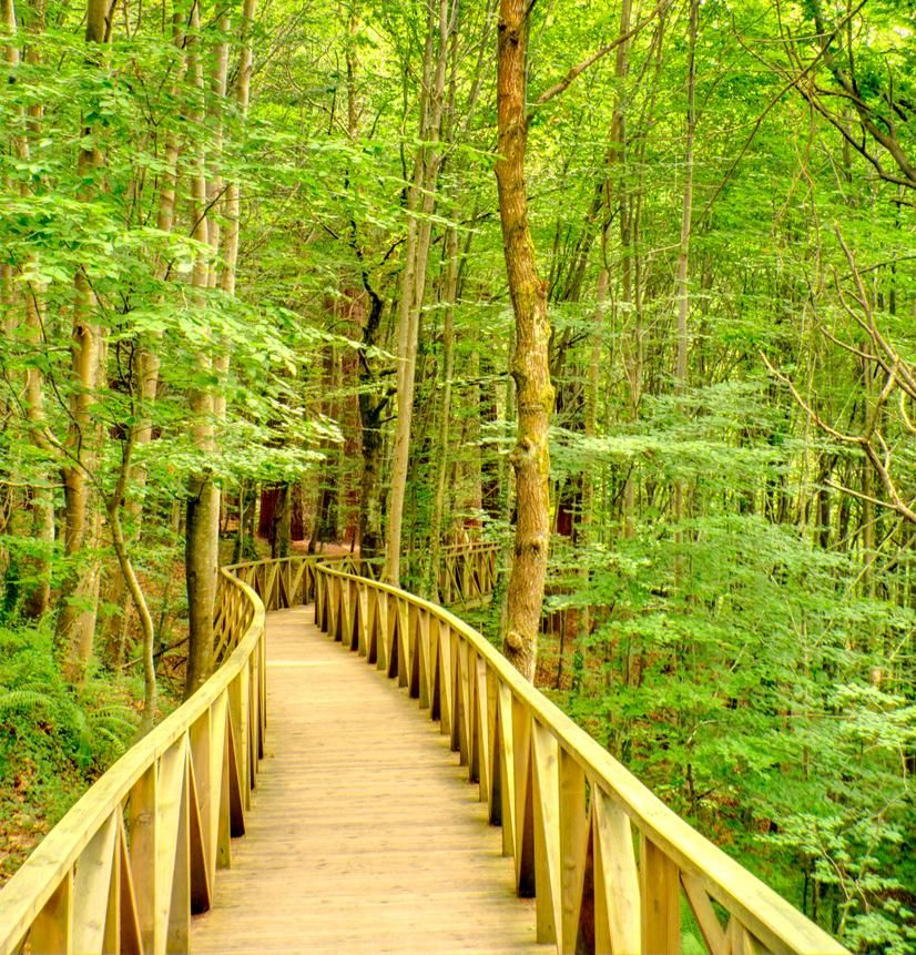 Las pasarelas de madera permiten una cómoda ruta.