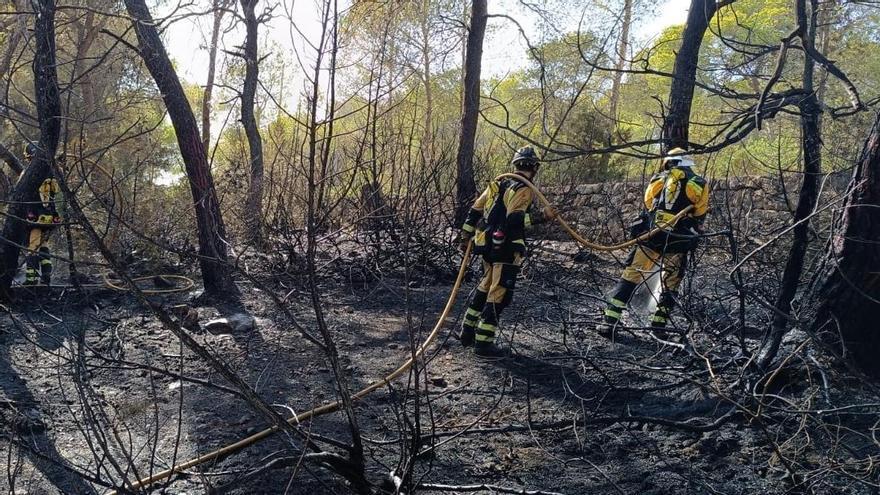 Operativos apagando uno de los incendios producidos este 2025.