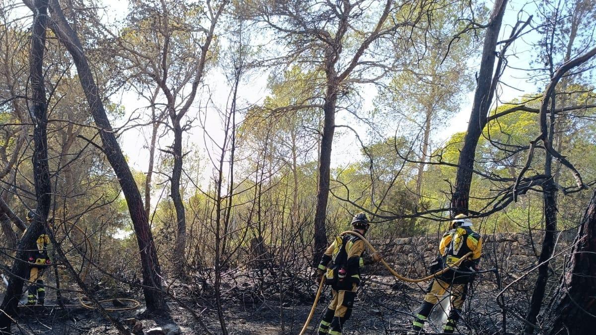 Operativos apagando uno de los incendios producidos este 2025.