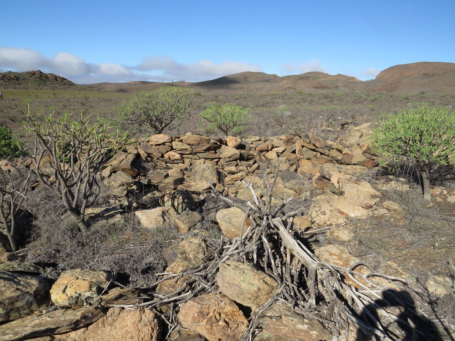 Así son los yacimentos descubiertos en Gran Canaria