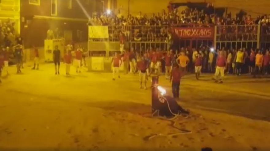 Muere un toro embolado tras encenderle las antorchas