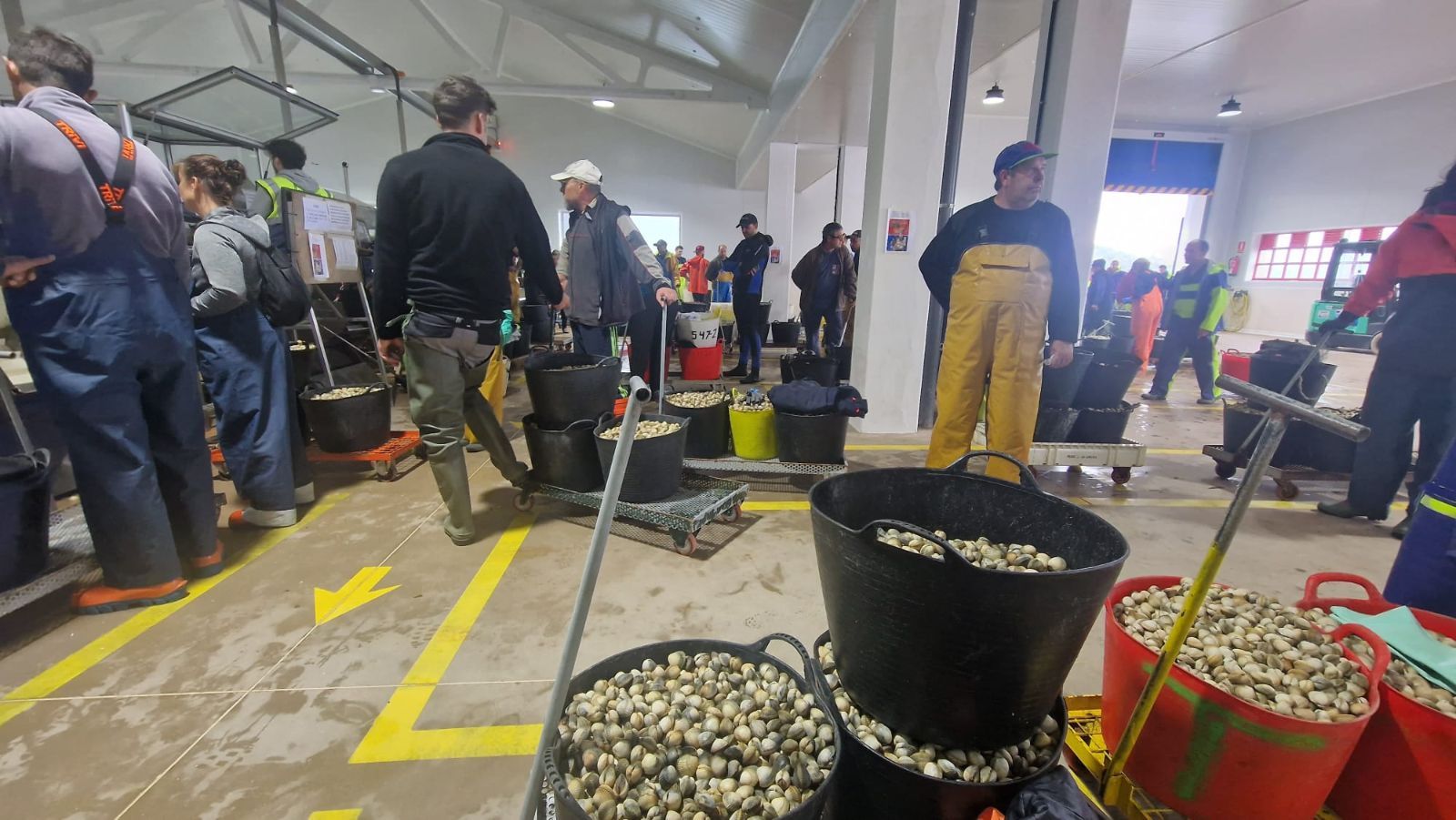 Así es el día a día en el puerto y la lonja de O Testal (Noia), donde cada vez se dan cita más mariscadores arousanos.