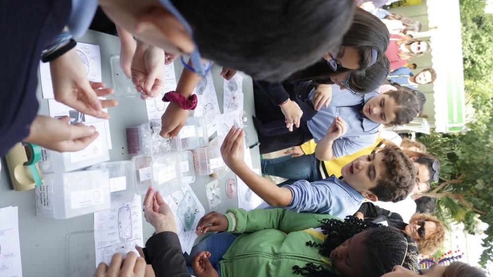 Semana de la Ciencia y la Tecnología en Murcia (I)