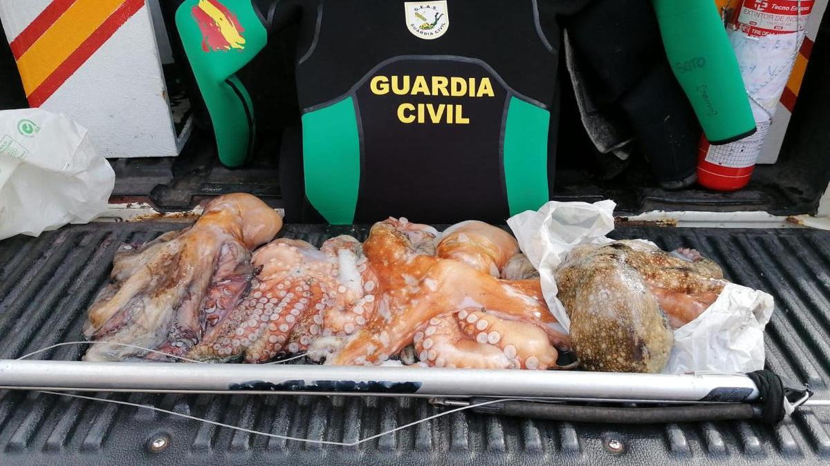 Sorprendido pescando ocho kilos de pulpo sin licencia y en una zona prohibida