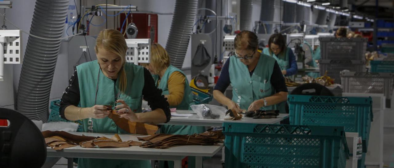 Trabajadoras en una empresa de calzado ilicitana ubicada en Elche Parque Empresarial.