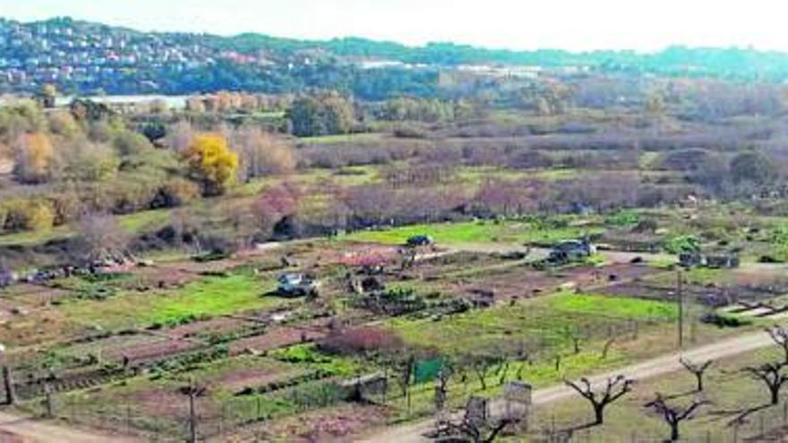 Abrera organitza dissabte una plantada popular d’arbres a la zona de Can Morral del Riu | AJUNTAMENT D’ABRERA