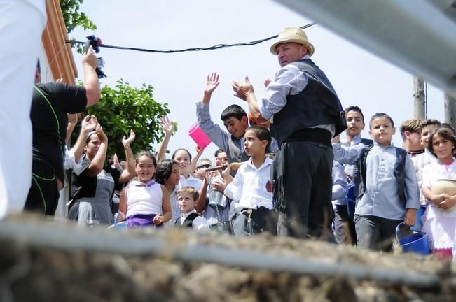 Traida Infantil del Agua de Lomo Magullo 2016