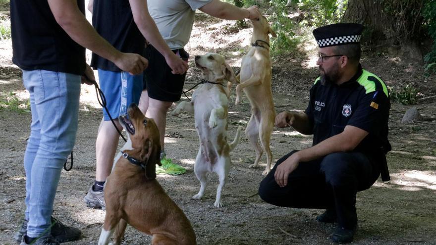 Curso pionero en Girona para reinsertar a jóvenes que han cometido delitos mediante adiestramiento de perros abandonados