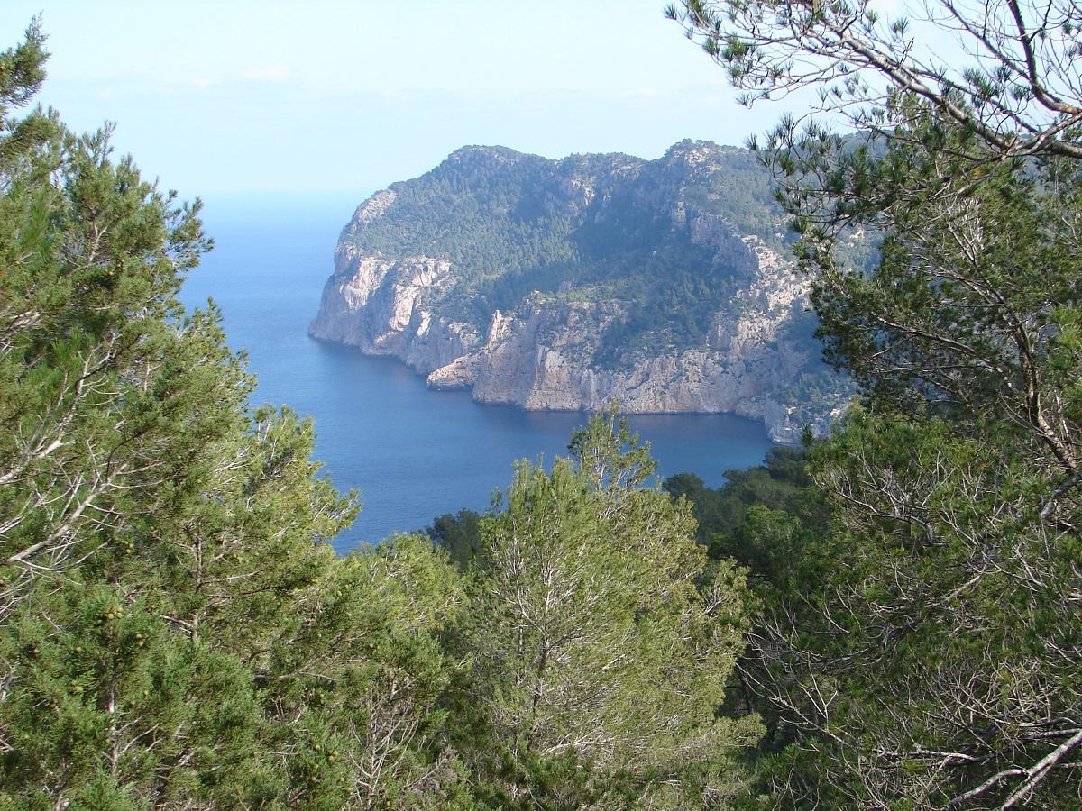 Radiografía de la biodiversidad: España protege el 36% del suelo, pero solo el 12% del mar