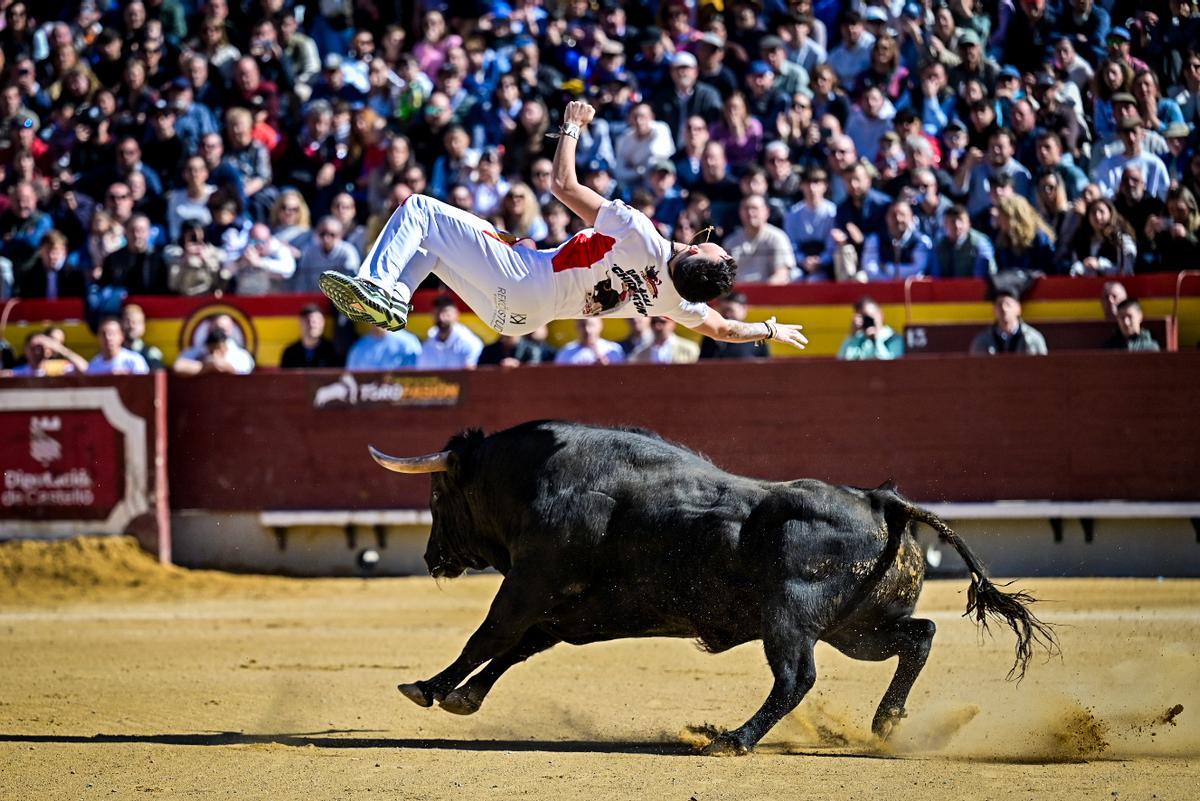 Concurso recortadores