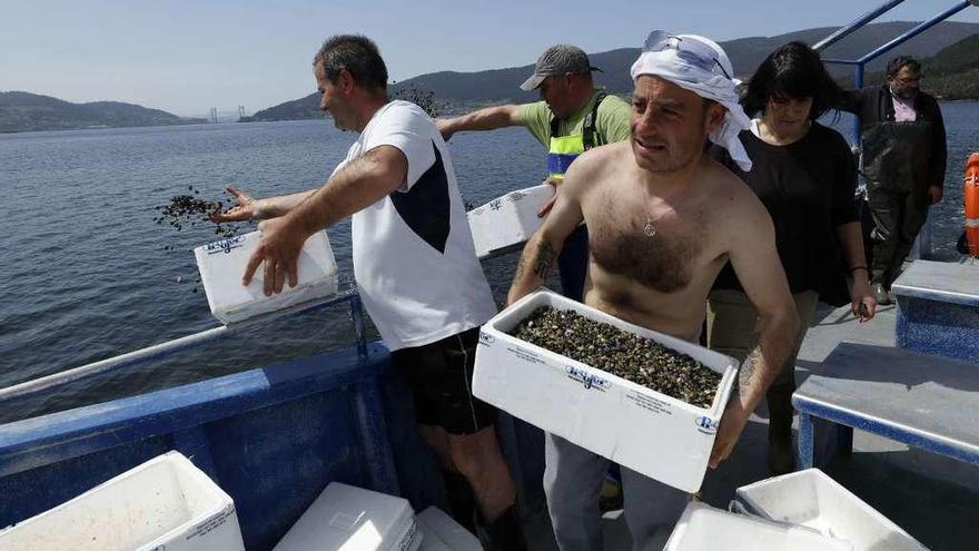 Mariscadores de la cofradía de Arcade, ayer, durante la regeneración de uno de los bancos. // Ricardo Grobas