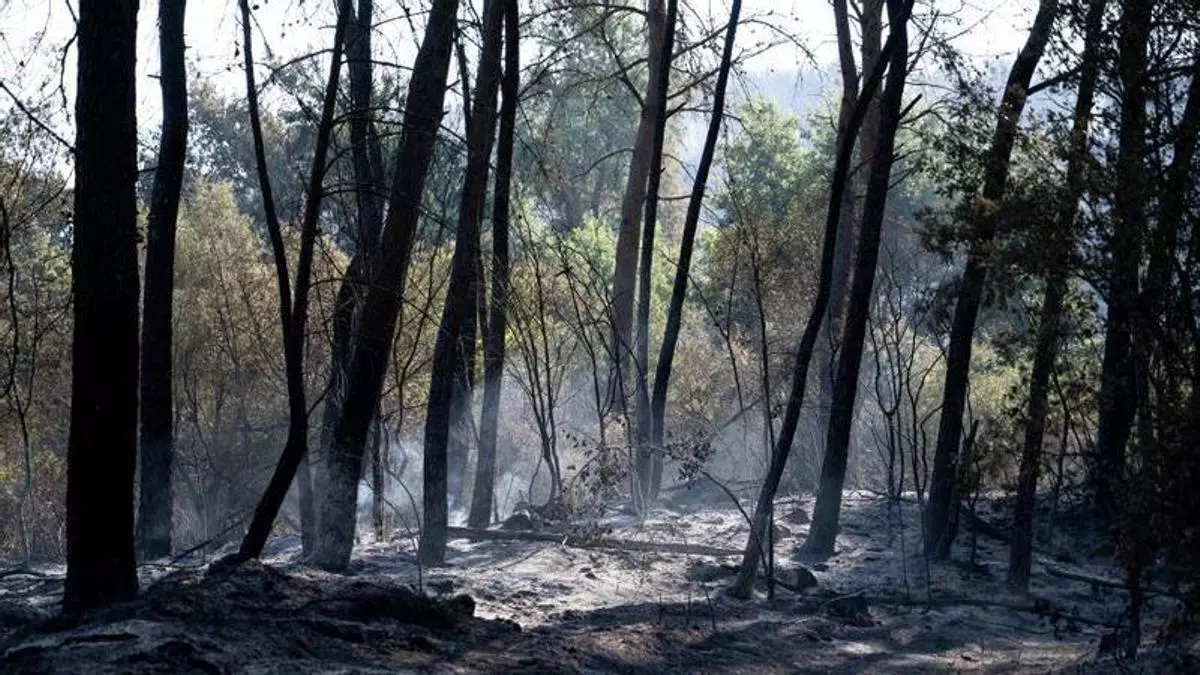 Aiguamúrcia y Querol se querellarán contra el presunto pirómano de los múltiples incendios: "Es terrorismo y un intento de homicidio"