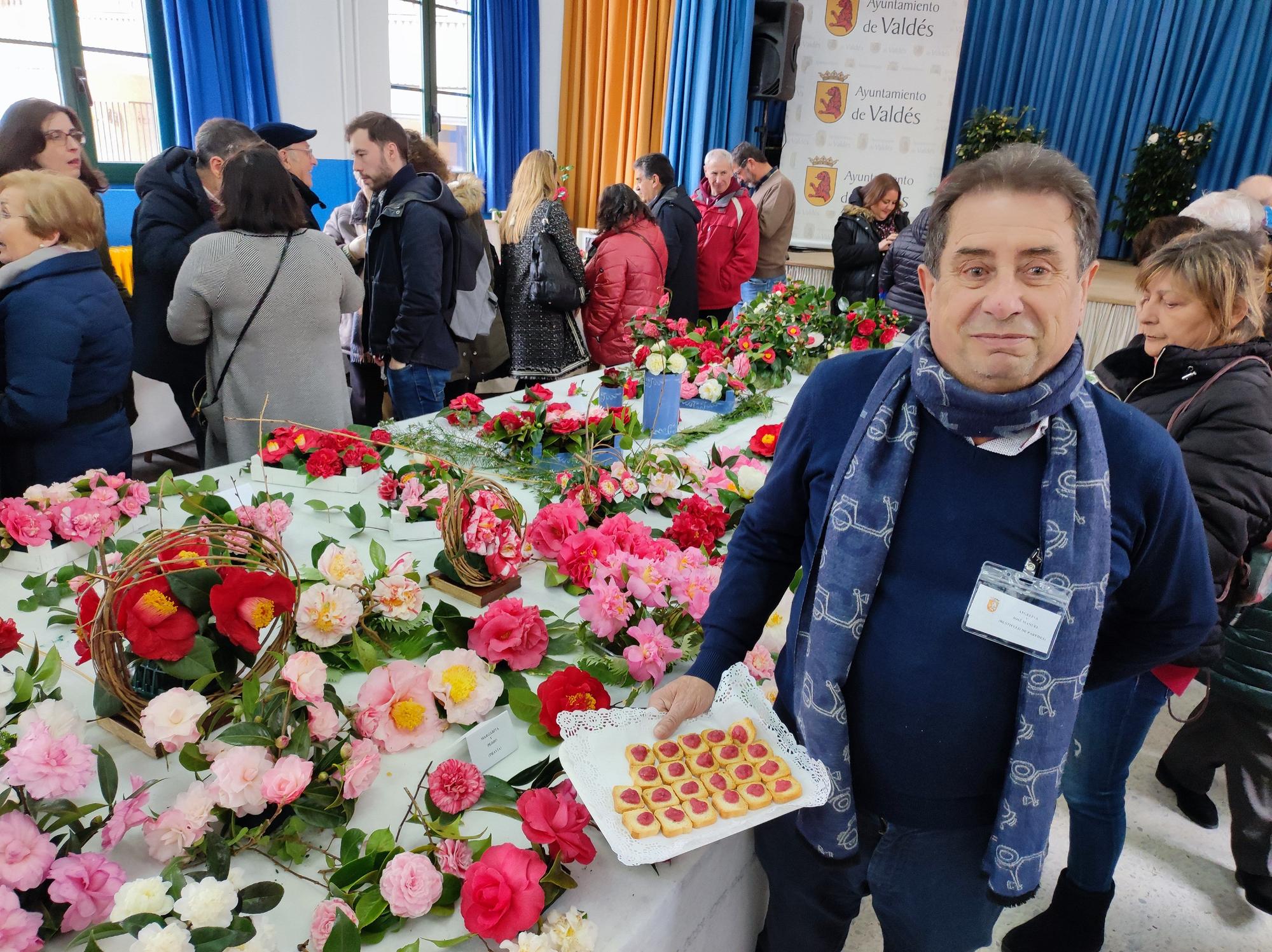 Las camelias llenan de color el colegio Padre Galo, de Luarca