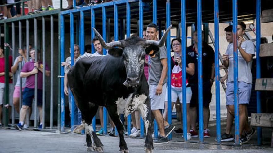 Objetivo: protegerse mejor del &quot;bou&quot;