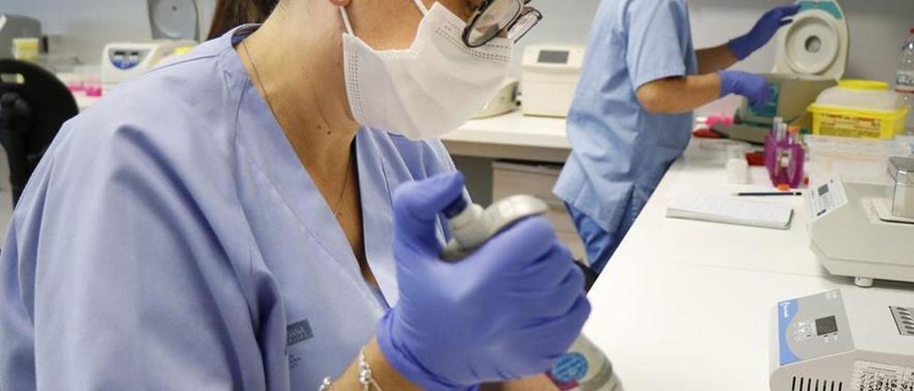 Dos especialistas trabajando en el laboratorio de biología molecular de La Fe, donde se hacen los mapeos genéticos.