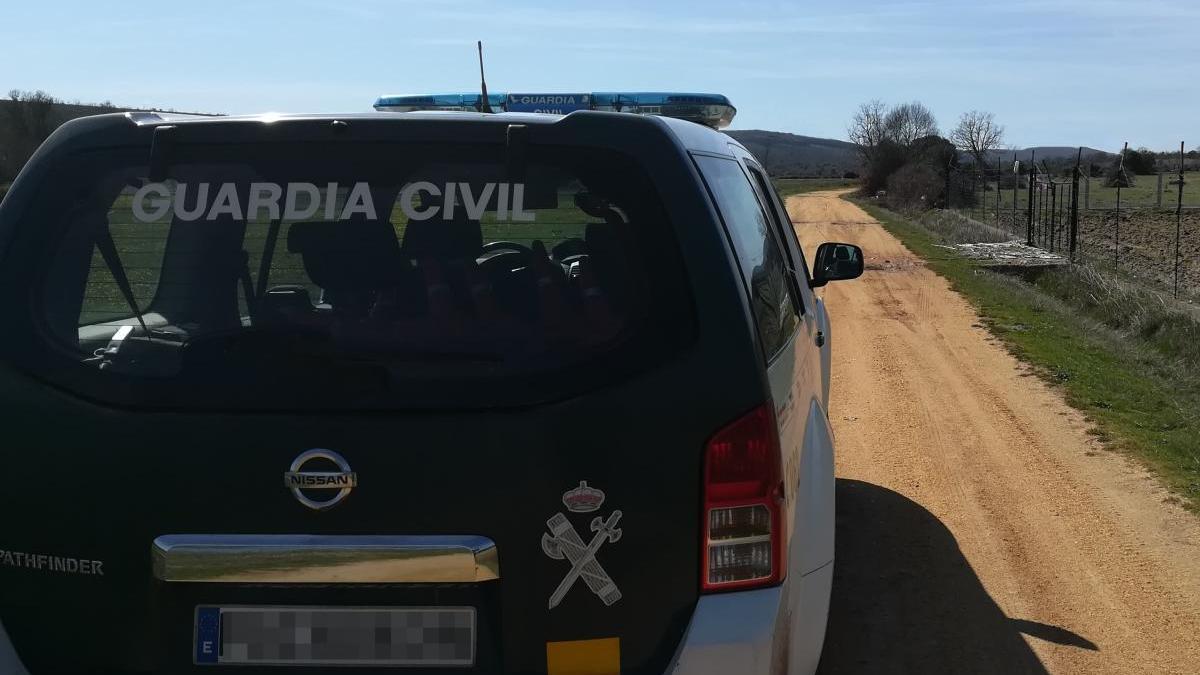 Detenido en Zamora por lanzar a su perro con violencia contra el suelo