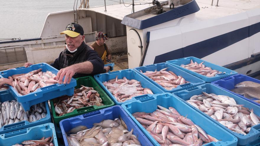 El Archivo de Santa Pola custodiará el legado de la Cofradía de Pescadores