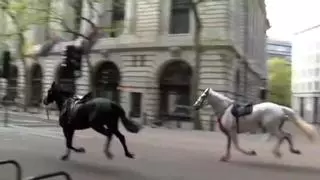 Vídeo | Varios caballos militares siembran el caos en el centro de Londres y hieren a cinco personas