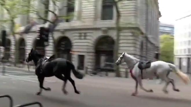 Caos en Londres tras escaparse dos caballos por el centro de la ciudad