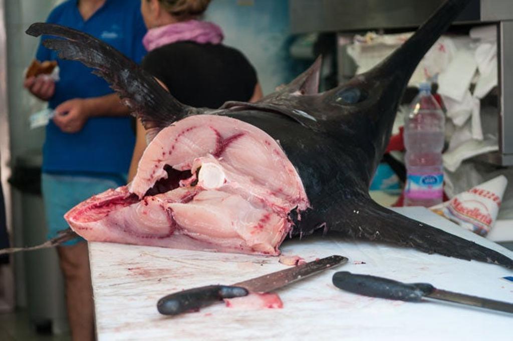 Mucha gente se acerca a Favignana para ver la ancestral pesca del atún -la Tonnara- que iniciaron los árabes y que hoy todavía se practica