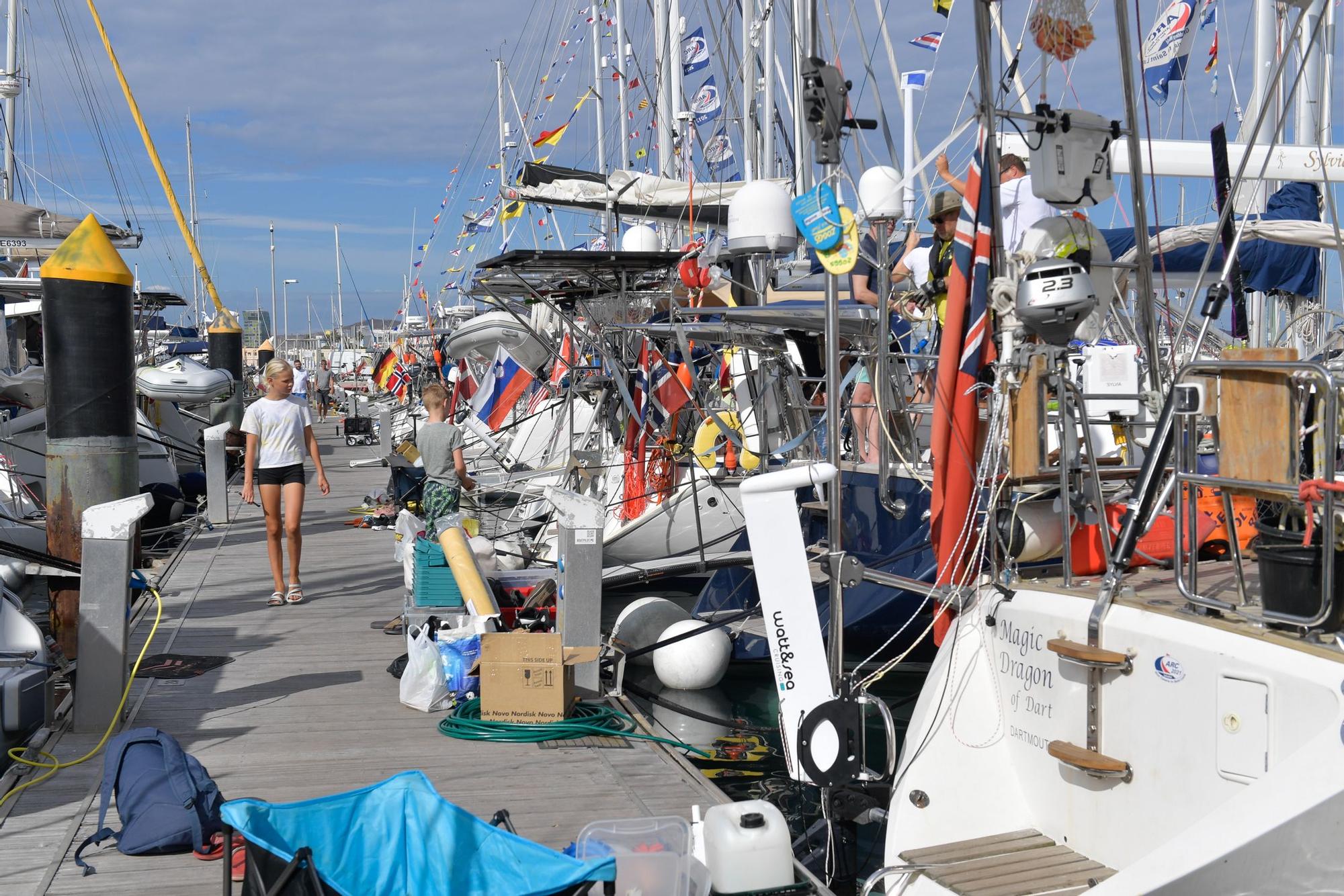 Participantes en la regata ARC, en el Muelle Deportivo de Las Palmas de Gran Canaria