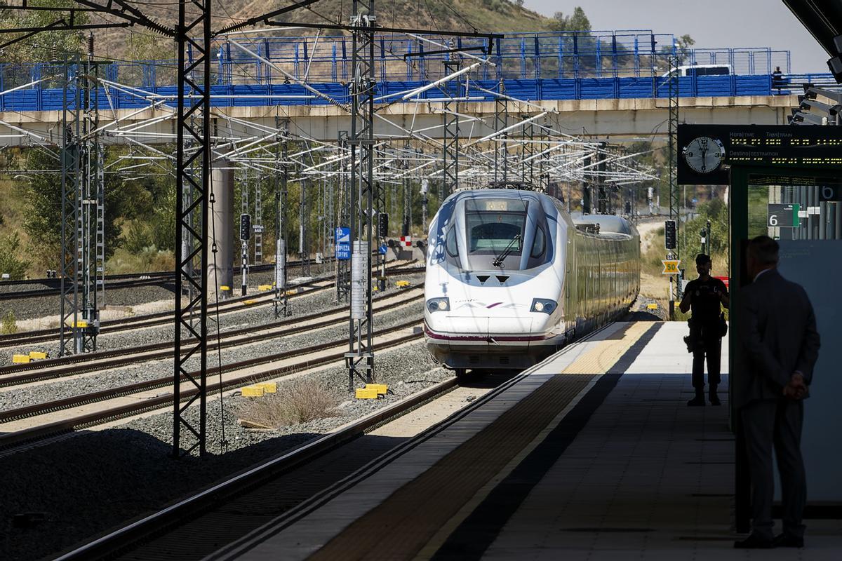 Llegada de un tren AVE a la estación de Burgos desde Madrid. EFE/Santi Otero