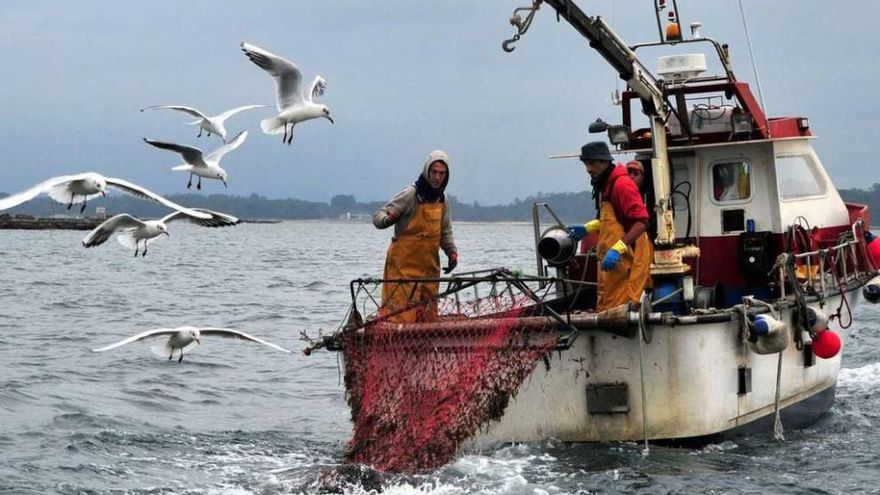 Pesca de vieira en la ría arousana. // Iñaki Abella