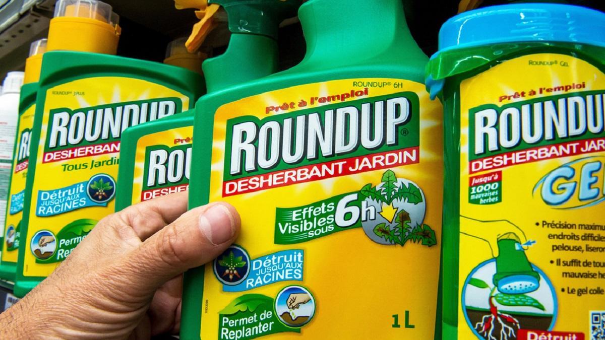 Bruselas renovará la autorización para usar el herbicida glifosato durante  diez años más
