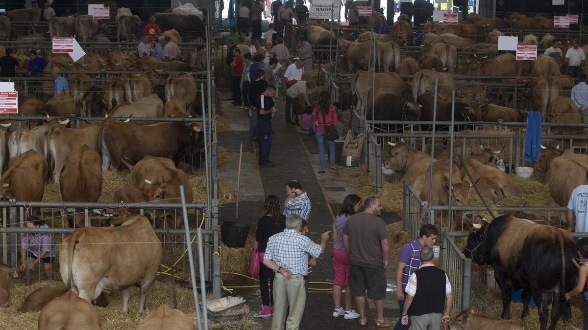 Público en una pasada edición del mercado de ganado en el pabellón de La Magdalena.