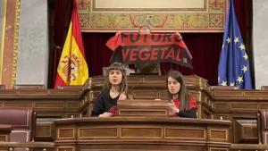 Activistas climáticos protestando en el hemiciclo del Congreso.