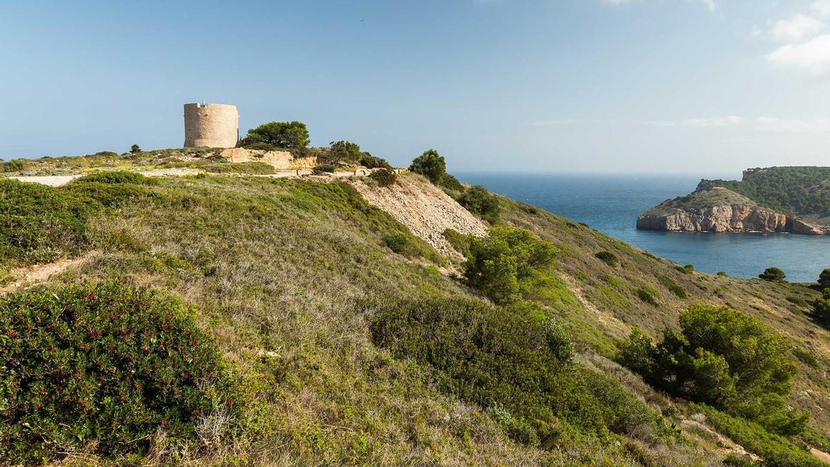 Una imatge de la Torre de Montgó i l'entorn on es vol actuar.