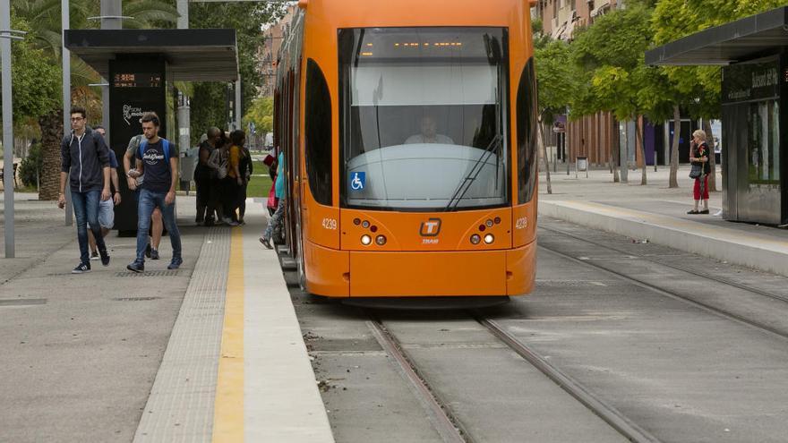 El TRAM ofrecerá servicio nocturno del lunes al martes por la festividad de la Virgen