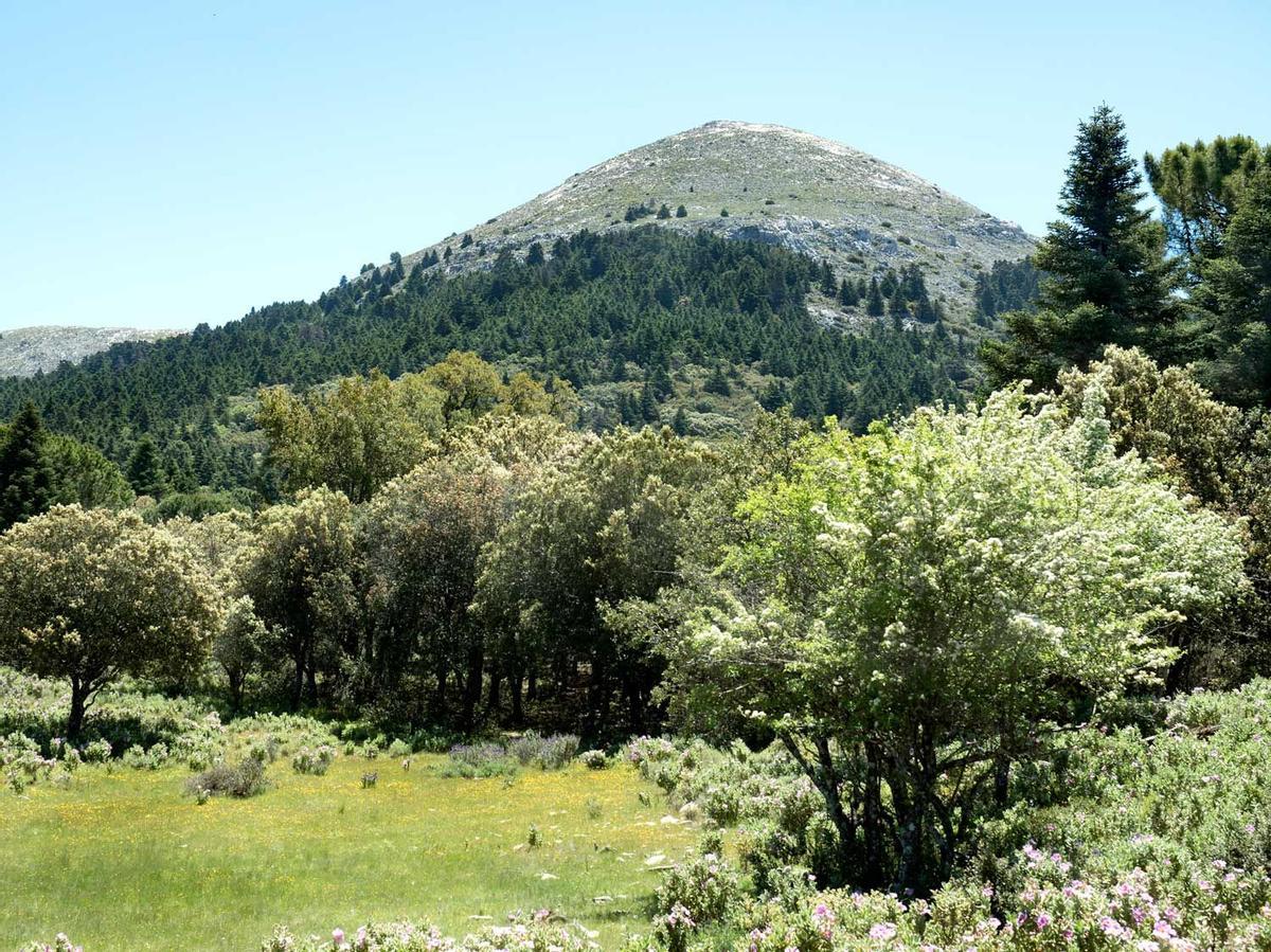 Parque Nacional Sierra de las Nieves, Málaga