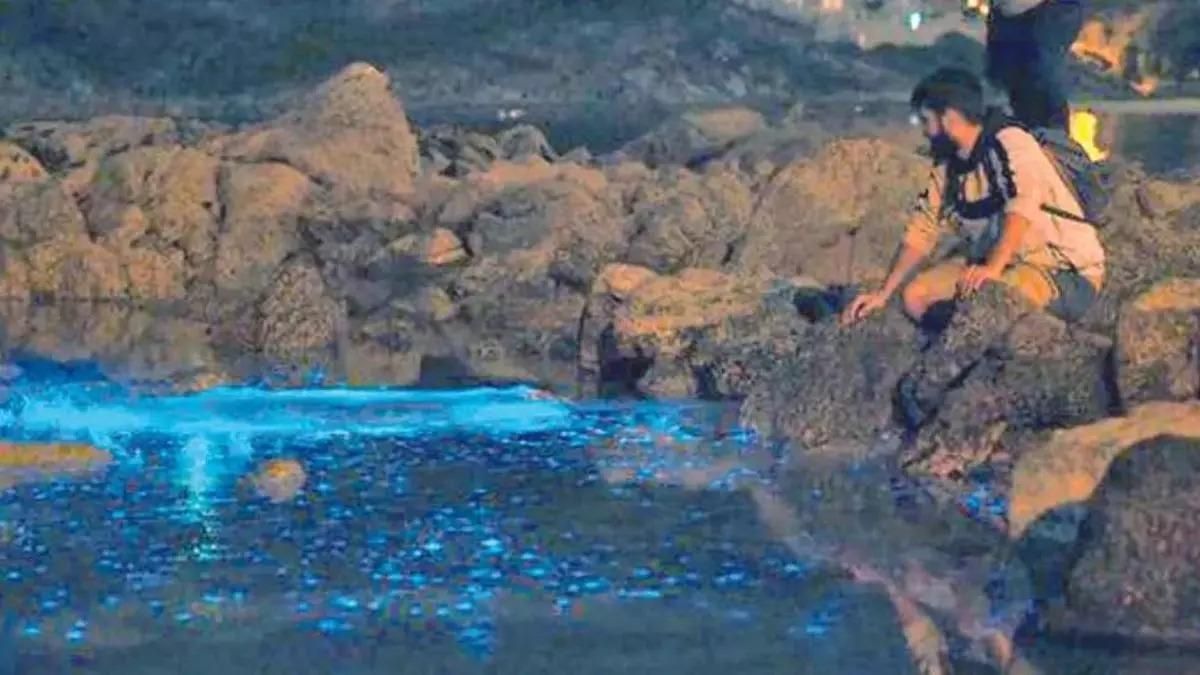 Mar de Ardora en la playa de Santa Marta, en Cangas.