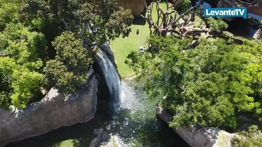 BIOPARC Valencia, en la élite mundial de parques de animales
