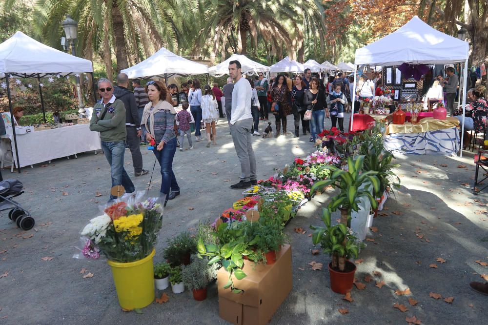 Afluencia masiva de público al botánico con motivo del mercado navideño que ofrecía, además, la posibilidad de visitar de forma gratuita, los jardines